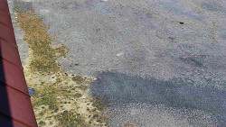 Nástup na běžecké tratě