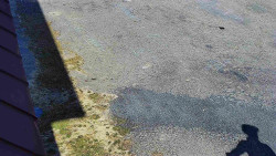 Nástup na běžecké tratě