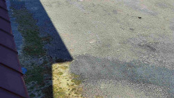 Nástup na běžecké tratě