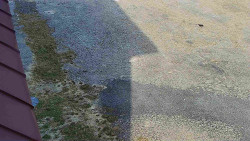 Nástup na běžecké tratě