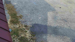 Nástup na běžecké tratě