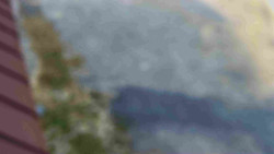 Nástup na běžecké tratě