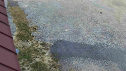 Nástup na běžecké tratě