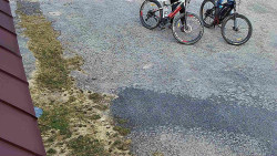 Nástup na běžecké tratě