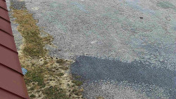 Nástup na běžecké tratě