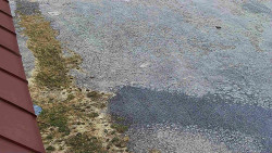 Nástup na běžecké tratě