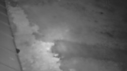 Nástup na běžecké tratě