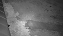 Nástup na běžecké tratě