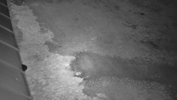 Nástup na běžecké tratě