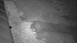 Nástup na běžecké tratě