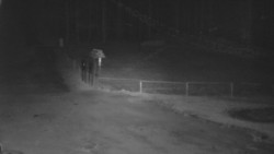 Nástup na běžecké tratě