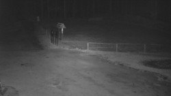 Nástup na běžecké tratě