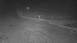 Nástup na běžecké tratě