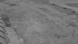 Nástup na běžecké tratě