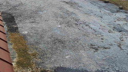 Nástup na běžecké tratě