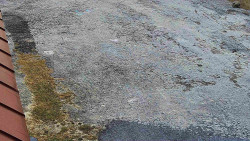 Nástup na běžecké tratě