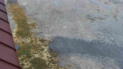 Nástup na běžecké tratě