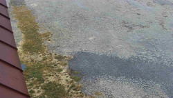 Nástup na běžecké tratě