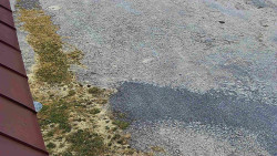 Nástup na běžecké tratě