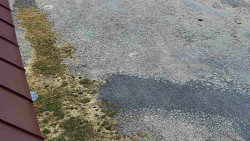 Nástup na běžecké tratě