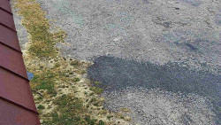 Nástup na běžecké tratě