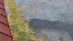 Nástup na běžecké tratě