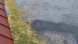 Nástup na běžecké tratě