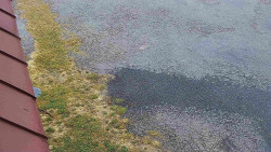 Nástup na běžecké tratě