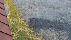 Nástup na běžecké tratě