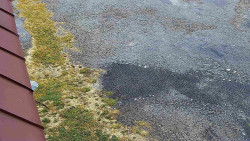 Nástup na běžecké tratě