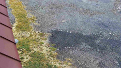 Nástup na běžecké tratě