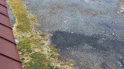 Nástup na běžecké tratě