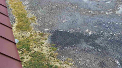 Nástup na běžecké tratě