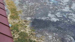 Nástup na běžecké tratě