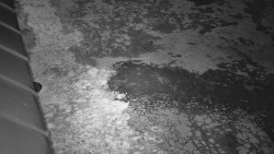 Nástup na běžecké tratě