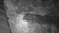 Nástup na běžecké tratě