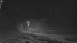 Nástup na běžecké tratě