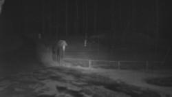 Nástup na běžecké tratě