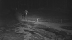 Nástup na běžecké tratě