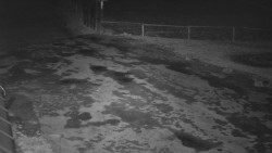 Nástup na běžecké tratě