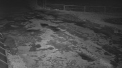 Nástup na běžecké tratě