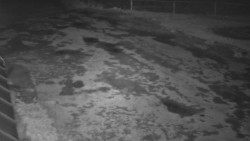 Nástup na běžecké tratě