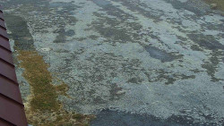 Nástup na běžecké tratě