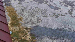 Nástup na běžecké tratě