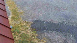 Nástup na běžecké tratě