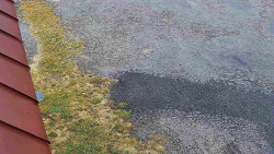 Nástup na běžecké tratě