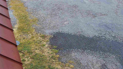 Nástup na běžecké tratě