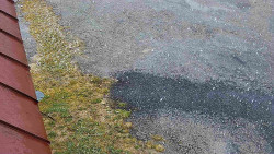 Nástup na běžecké tratě