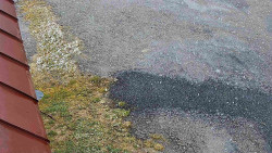 Nástup na běžecké tratě