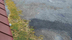 Nástup na běžecké tratě